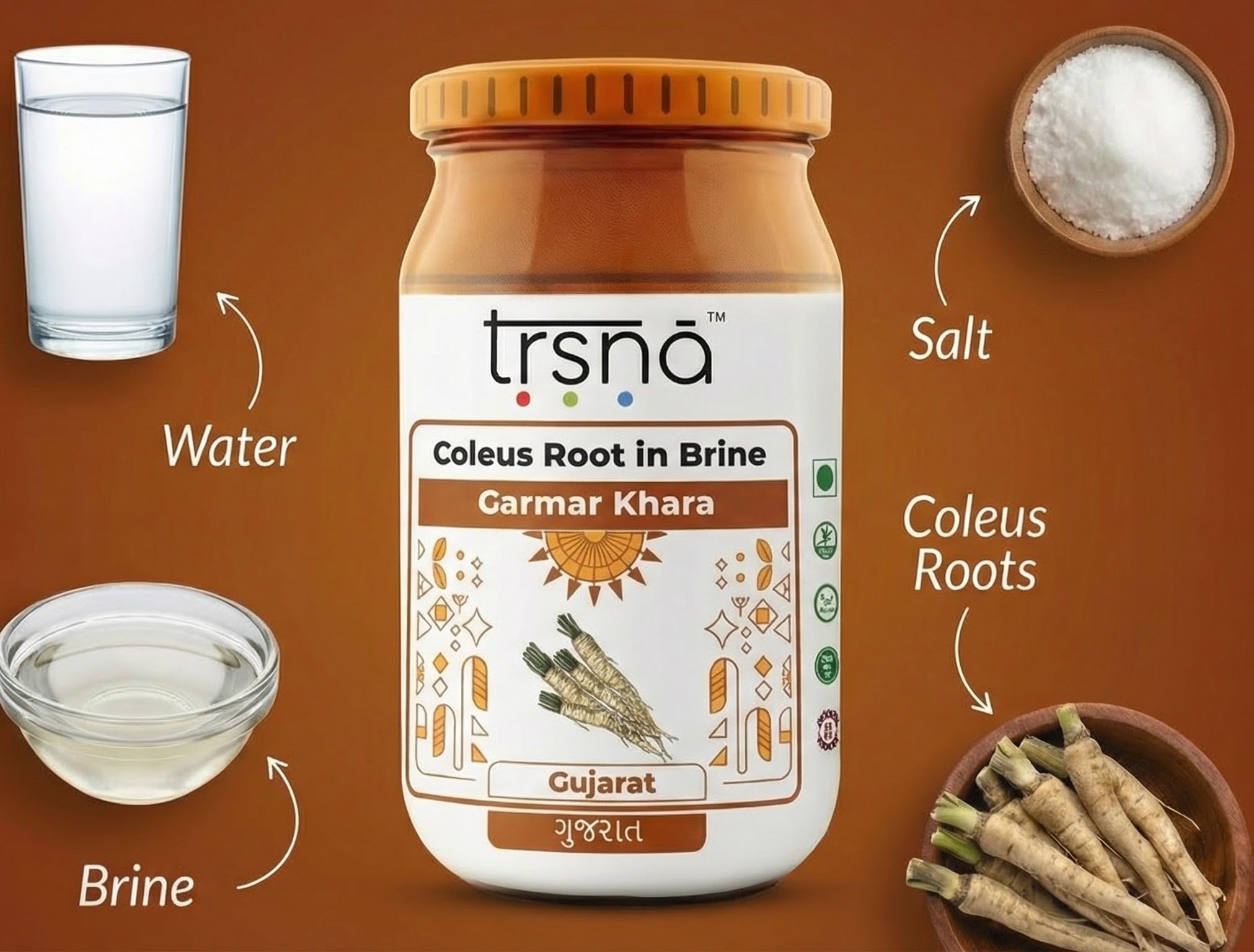 Coleus Root in Brine