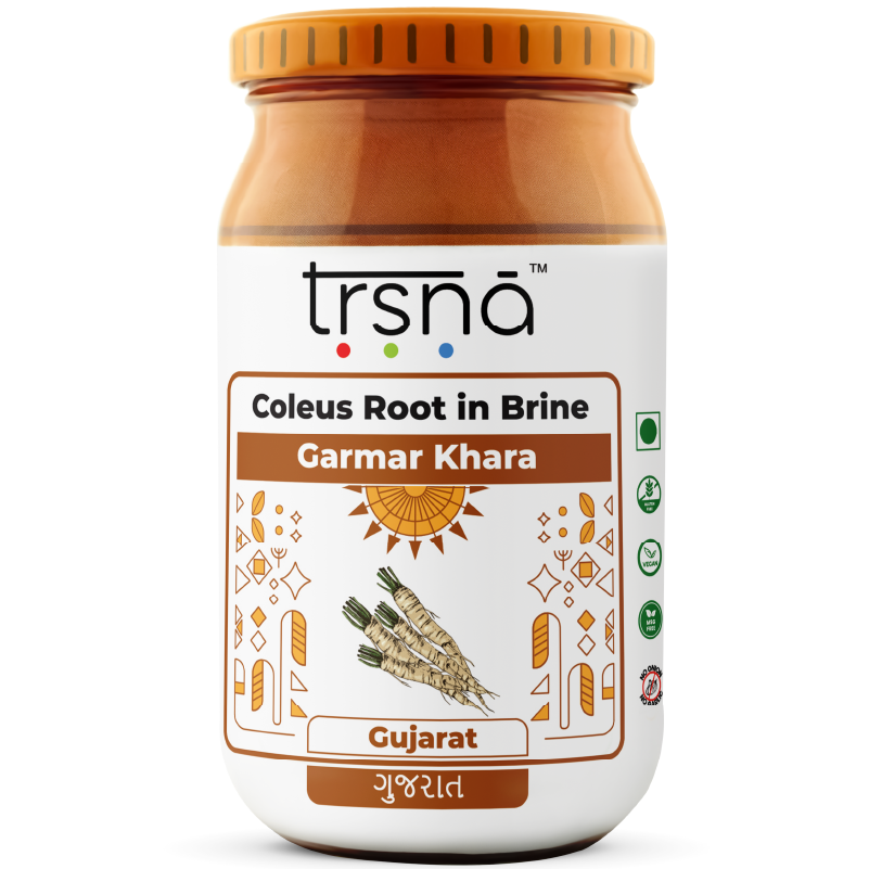 Coleus Root in Brine